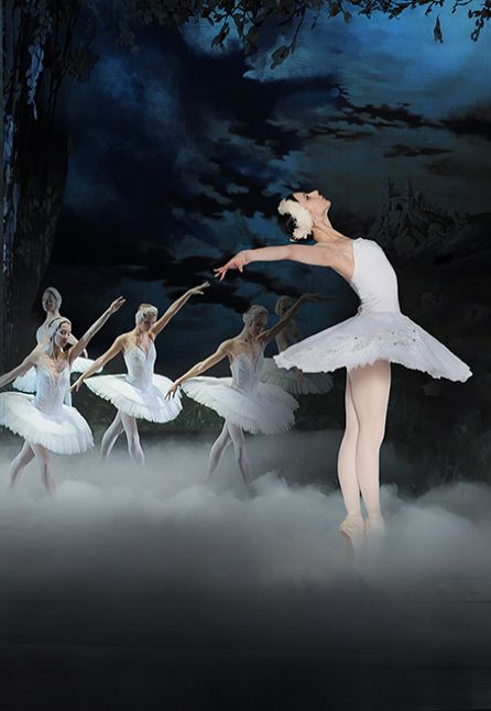 [TEATRO] IL LAGO DEI CIGNI [2023]